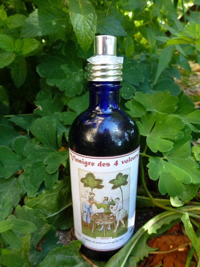 Vinaigre des 4 voleurs 100ml